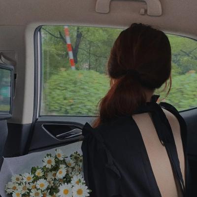 繁花初见不知返