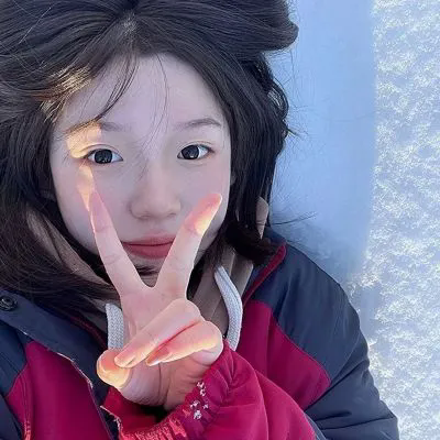 警察与外星人国语